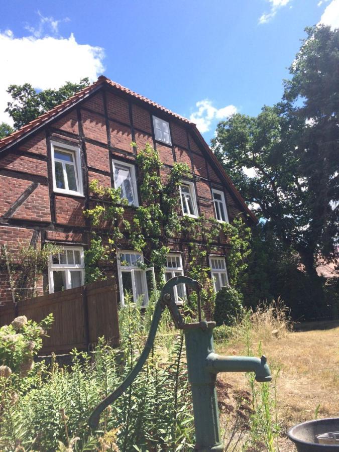 Wendlandhof Lueggau Villa Dannenberg Bagian luar foto